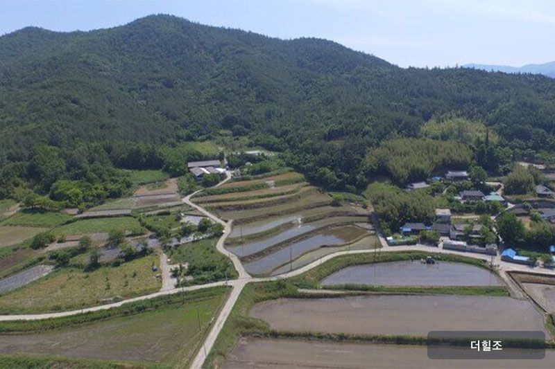 전라남도 장흥군 부산면 금자리 상금장마을 다랑논
