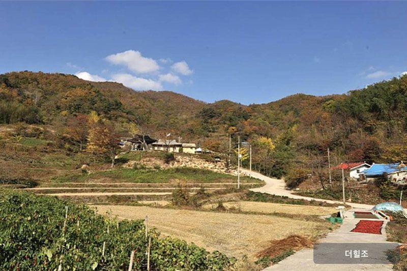 전라남도 장흥군 유치면 조양리 한치(인암)마을