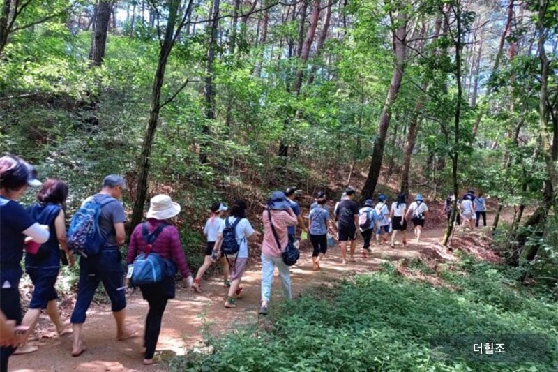강원도 원주시는 3월부터 11월까지 매달 첫째 주 토요일 용화산풍경길, 단구공원둘레길, 운곡솔바람숲길 등에서 맨발걷기 프로그램을 진행한다.