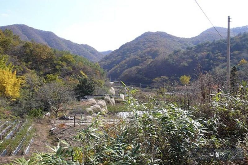 전라남도 장흥군 유치면 조양리 인암마을 가을 풍경