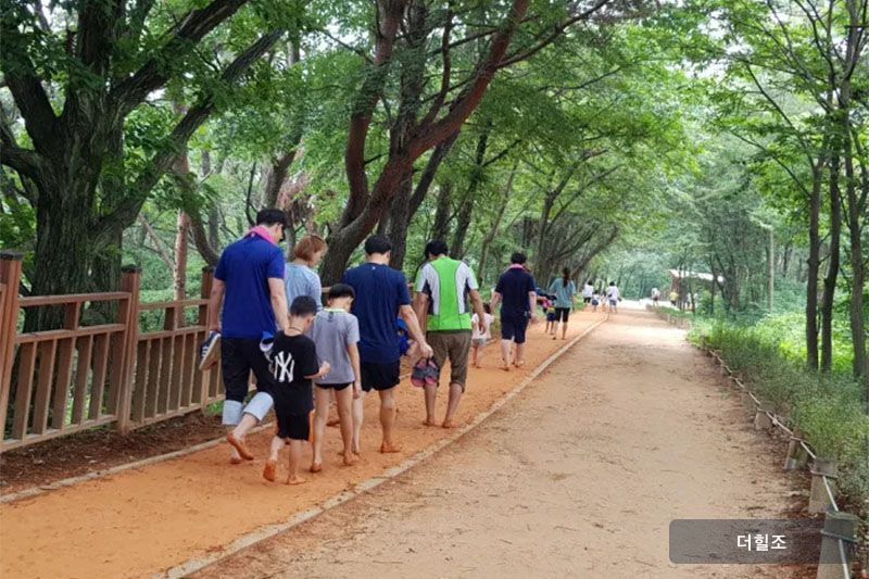 경상남도 김해시 '분성산 생태숲' 황톳길을 걷고 있는 사람들